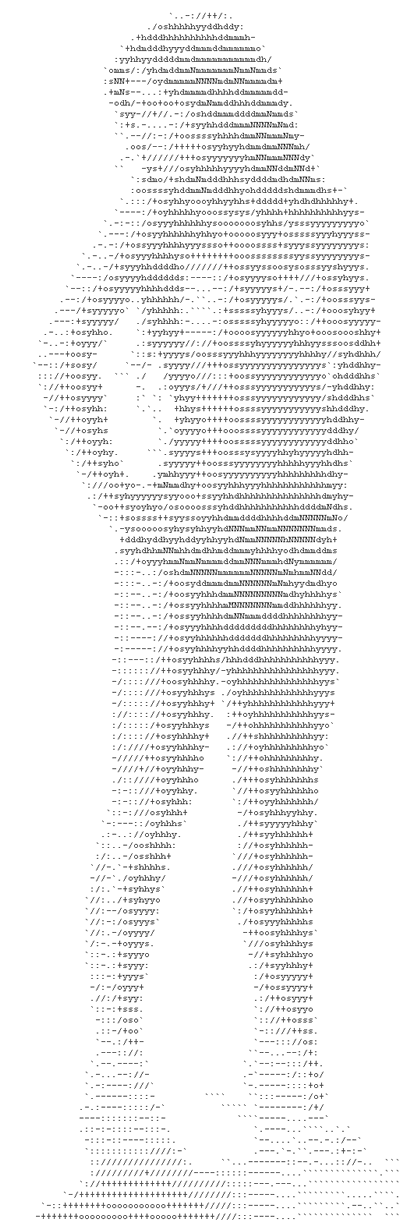 Retrato artístico en caracteres ASCII de Elsa Pataky